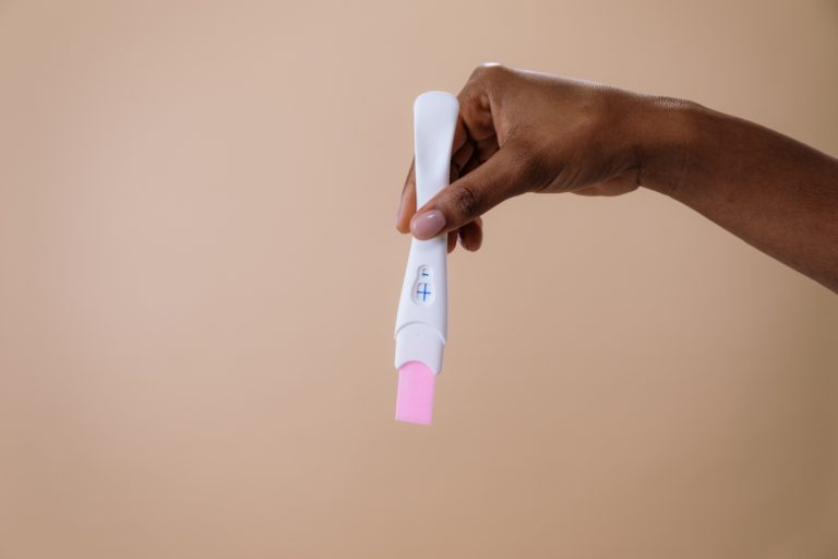 Healthy & Free TN STRONGLY OPPOSES HB2279/SB2582, A Total Ban on Abortion That Deputizee Strangers to Investigate Pregnancy 