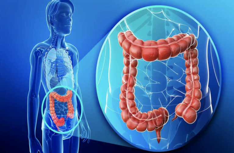 “The Talk & Tour” With My Colon!