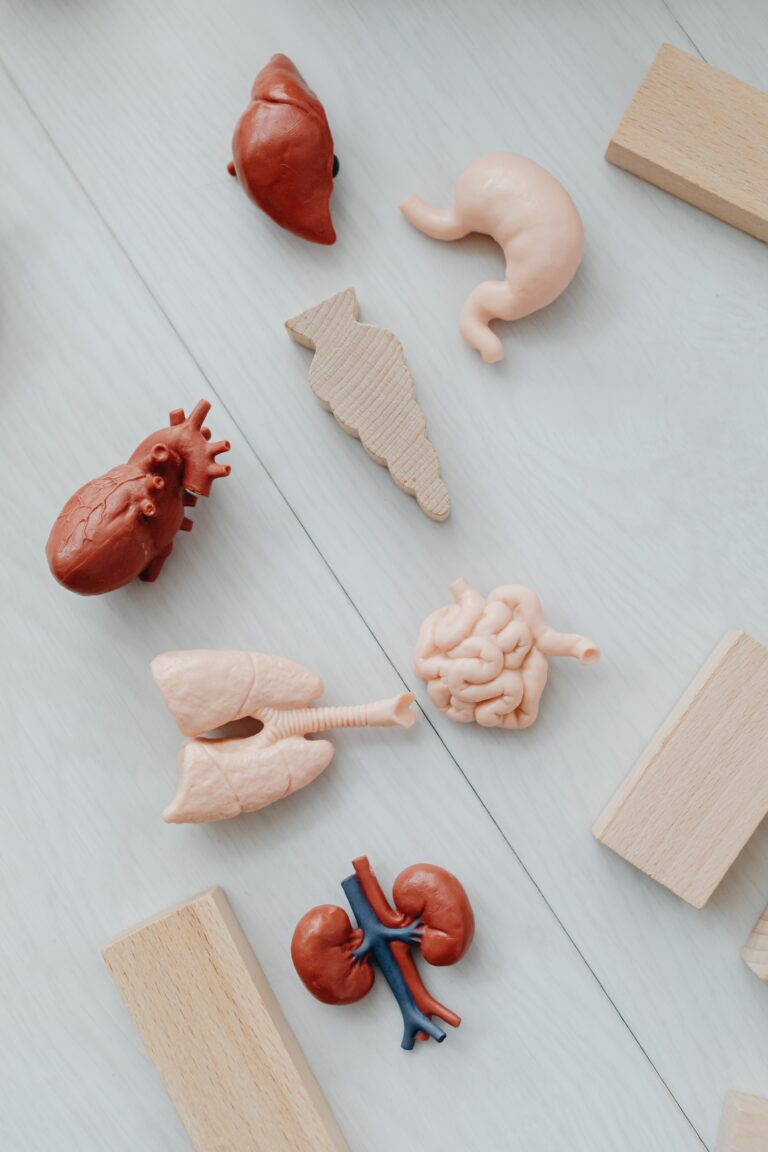 U.S. Hit 1 Million Organ Transplants