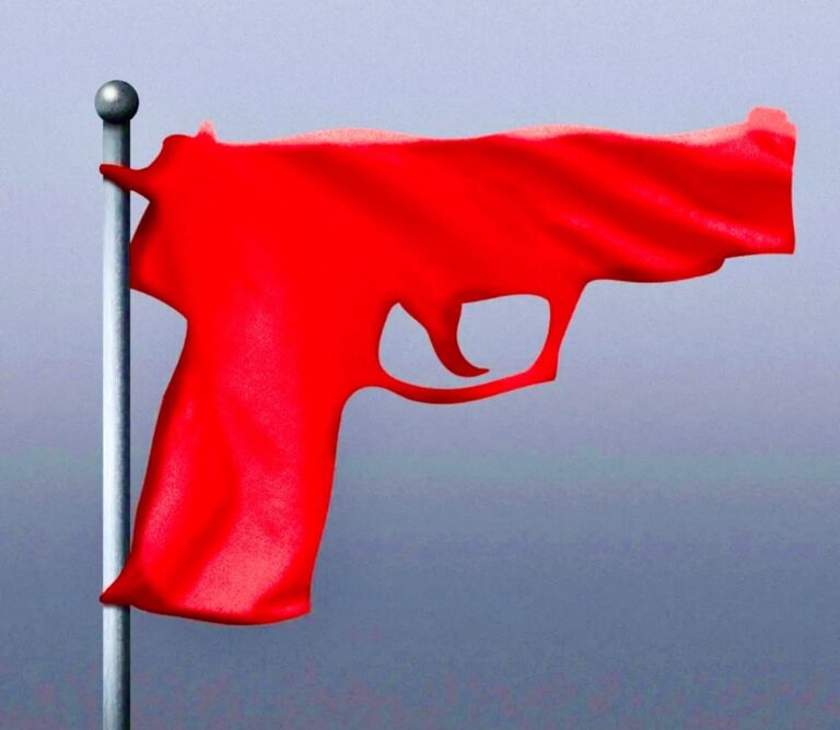 Special Report – Part 3 – Extreme Risk Protection Orders Examined